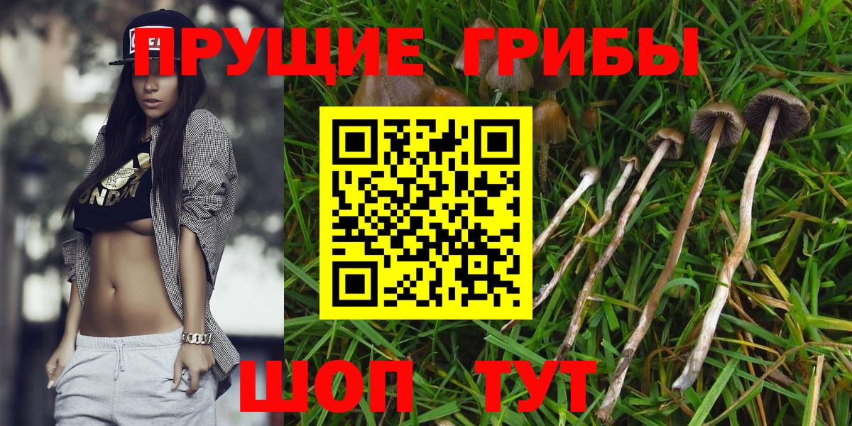 Псилоцибиновые грибы прущие грибы Ярцево