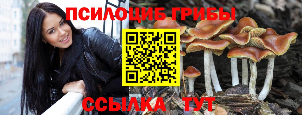 Галлюциногенные грибы ЛСД  Вход с VPN  Ярцево 